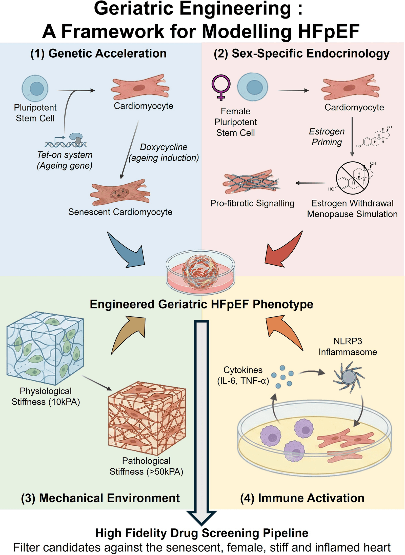 Figure 1 from Heart Failure Reviews