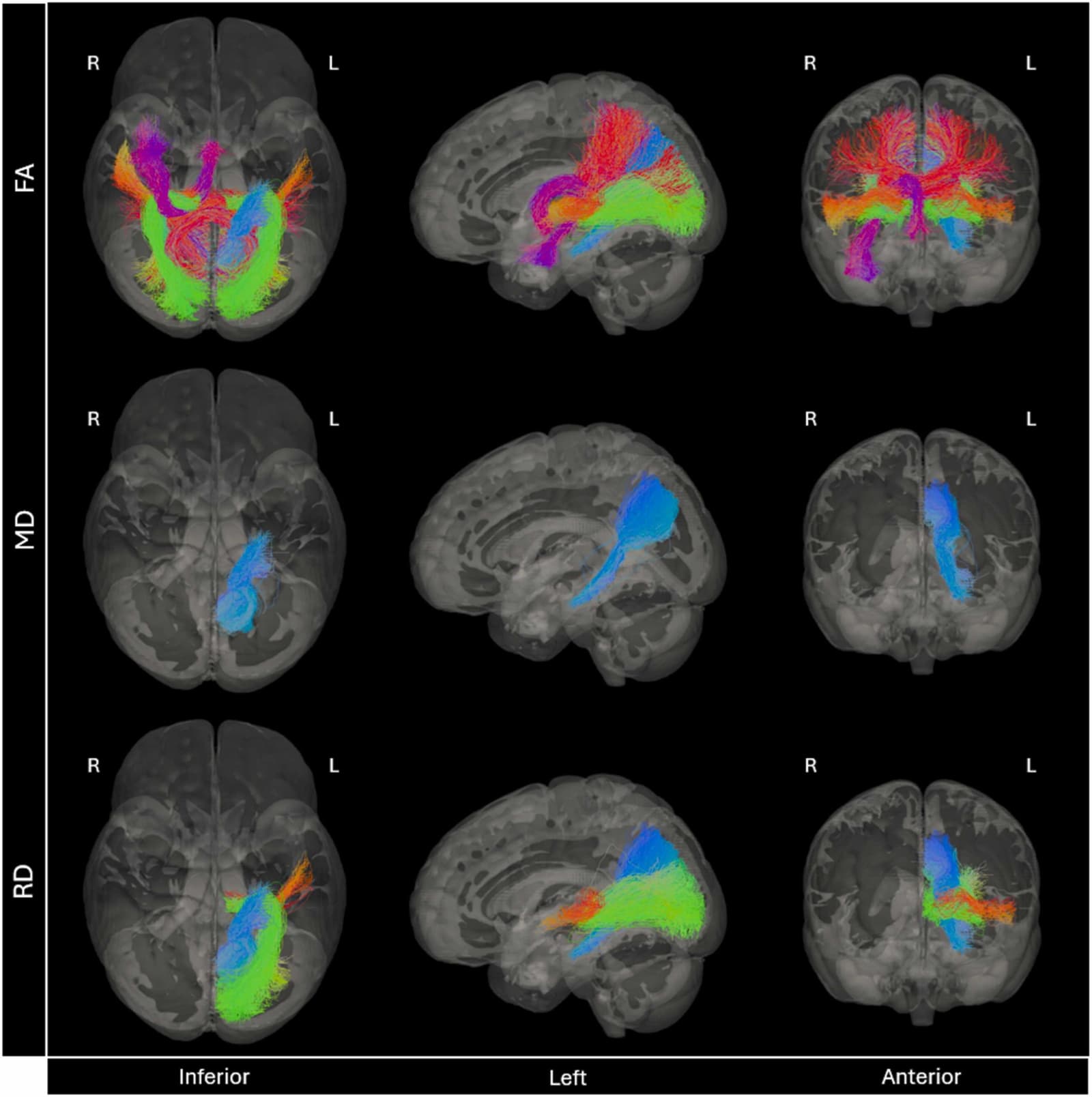 Figure 1 from Neurobiology of Aging