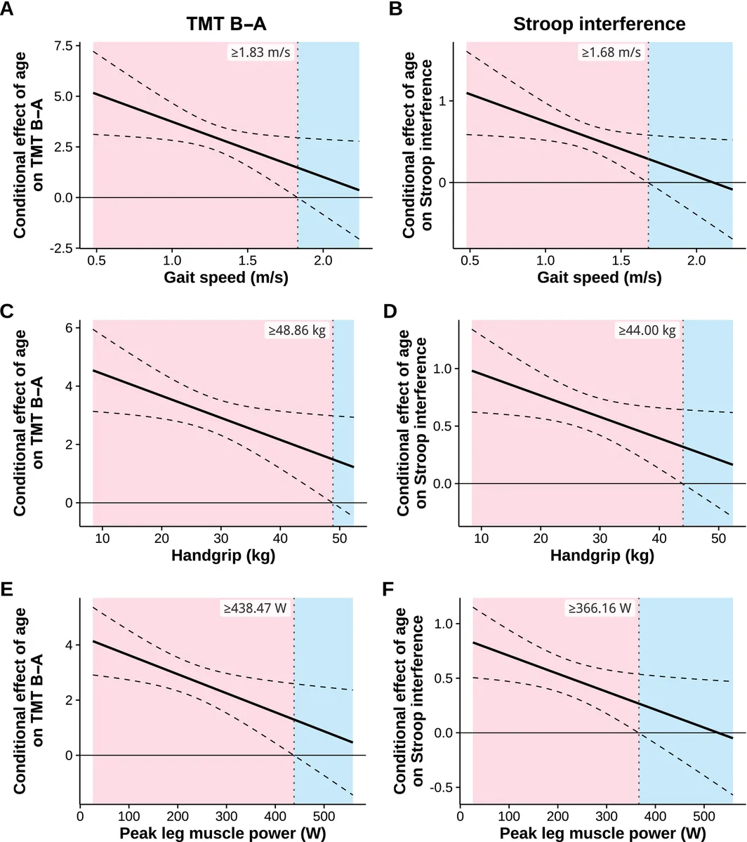 Figure 1. Johnson–Neyman plots delineating gait speed, handgrip strength and peak leg muscle power values where increasing age significantly associates to worse executive function (red area) and values where…