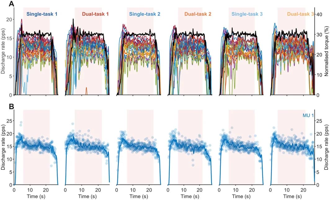 Figure 1. Study design and individual sarcopenic participant data.