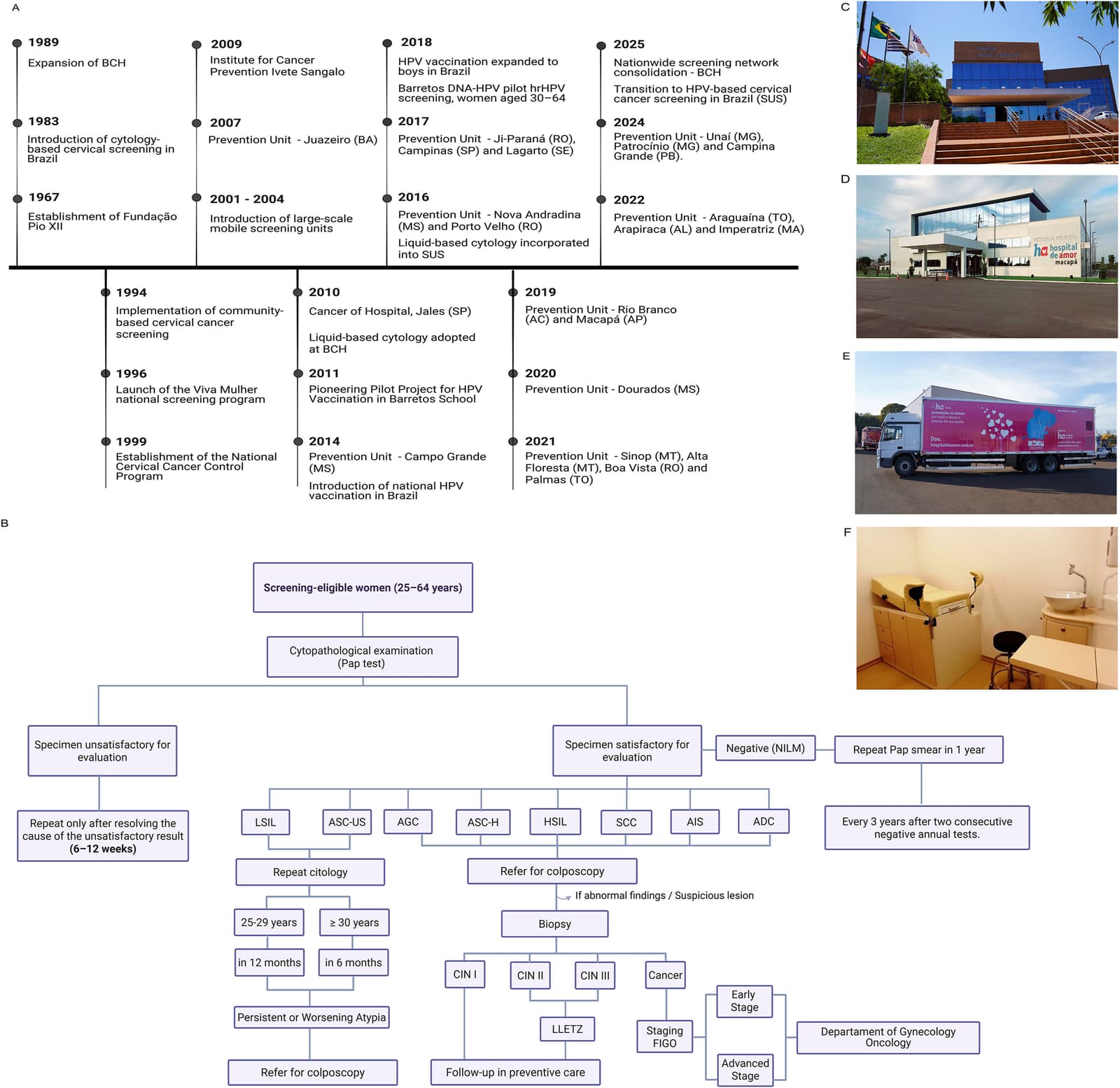 Figure 1 from International Journal of Gynecological Cancer