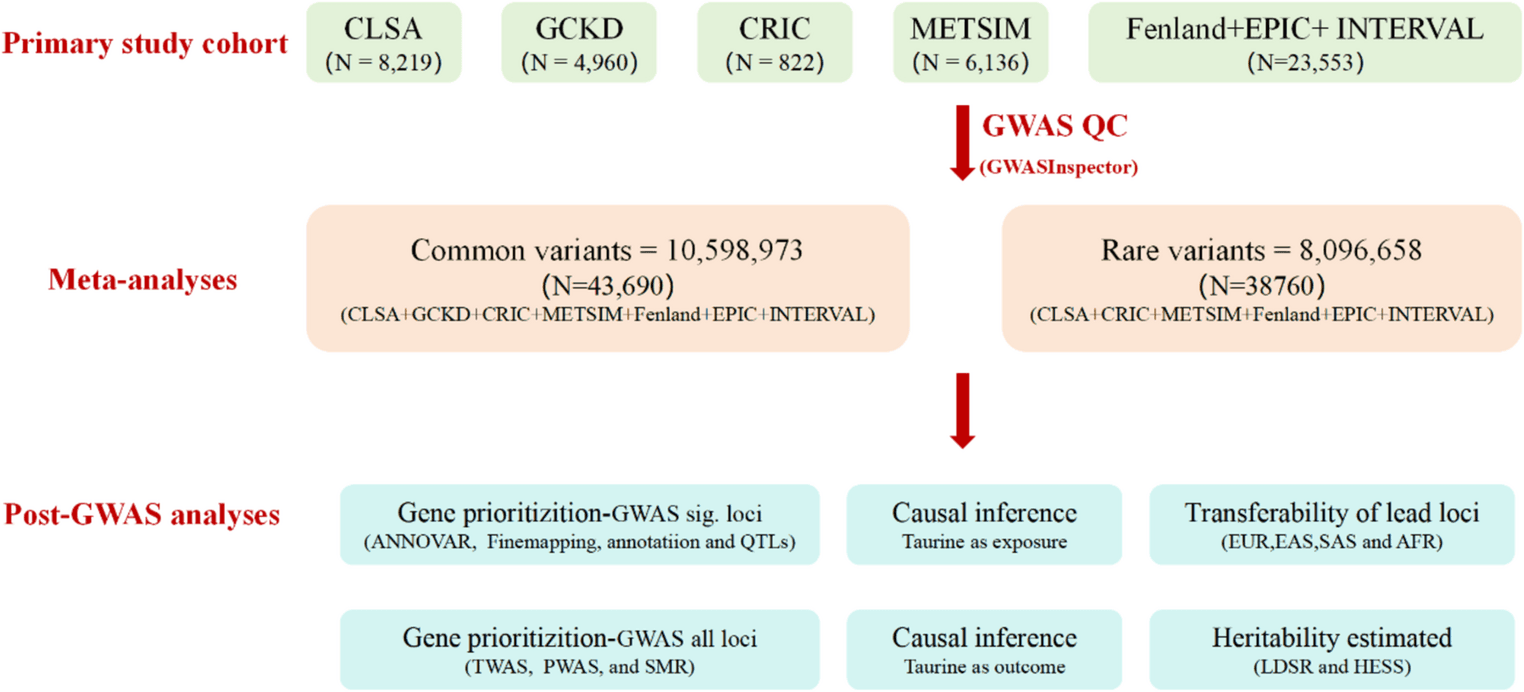 Figure 1 from Functional & Integrative Genomics