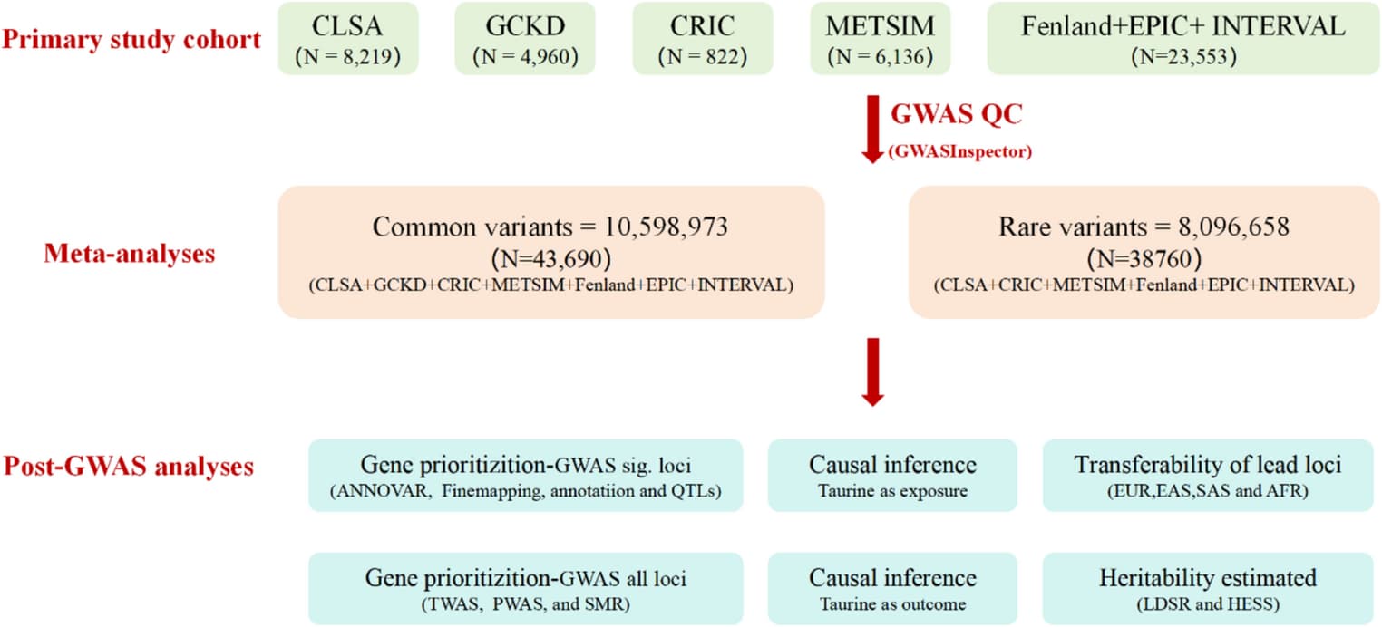 Figure 1 from Functional & Integrative Genomics