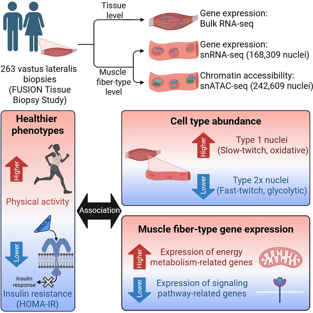 Graphical abstract from iScience