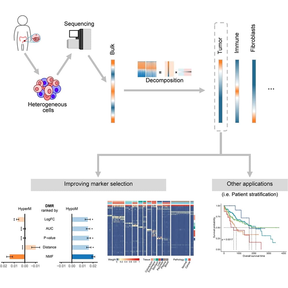 Graphical abstract from iScience