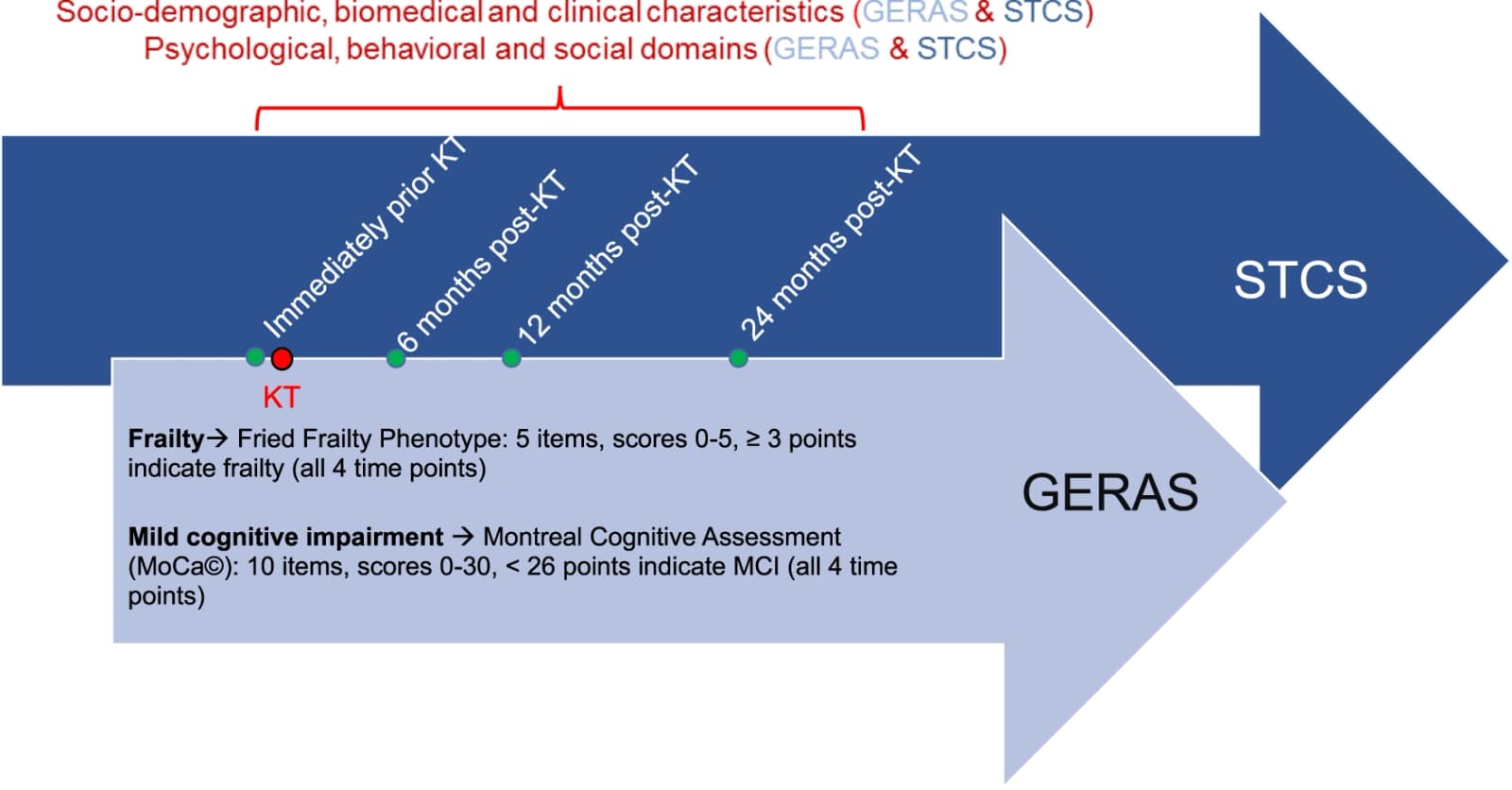 Figure 1 from Transplant International