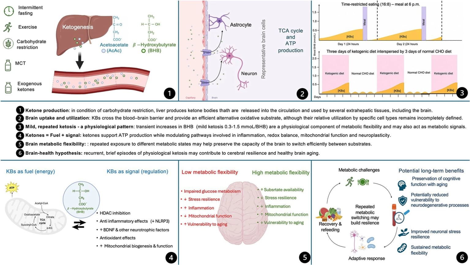 Figure 1 from Frontiers in Nutrition