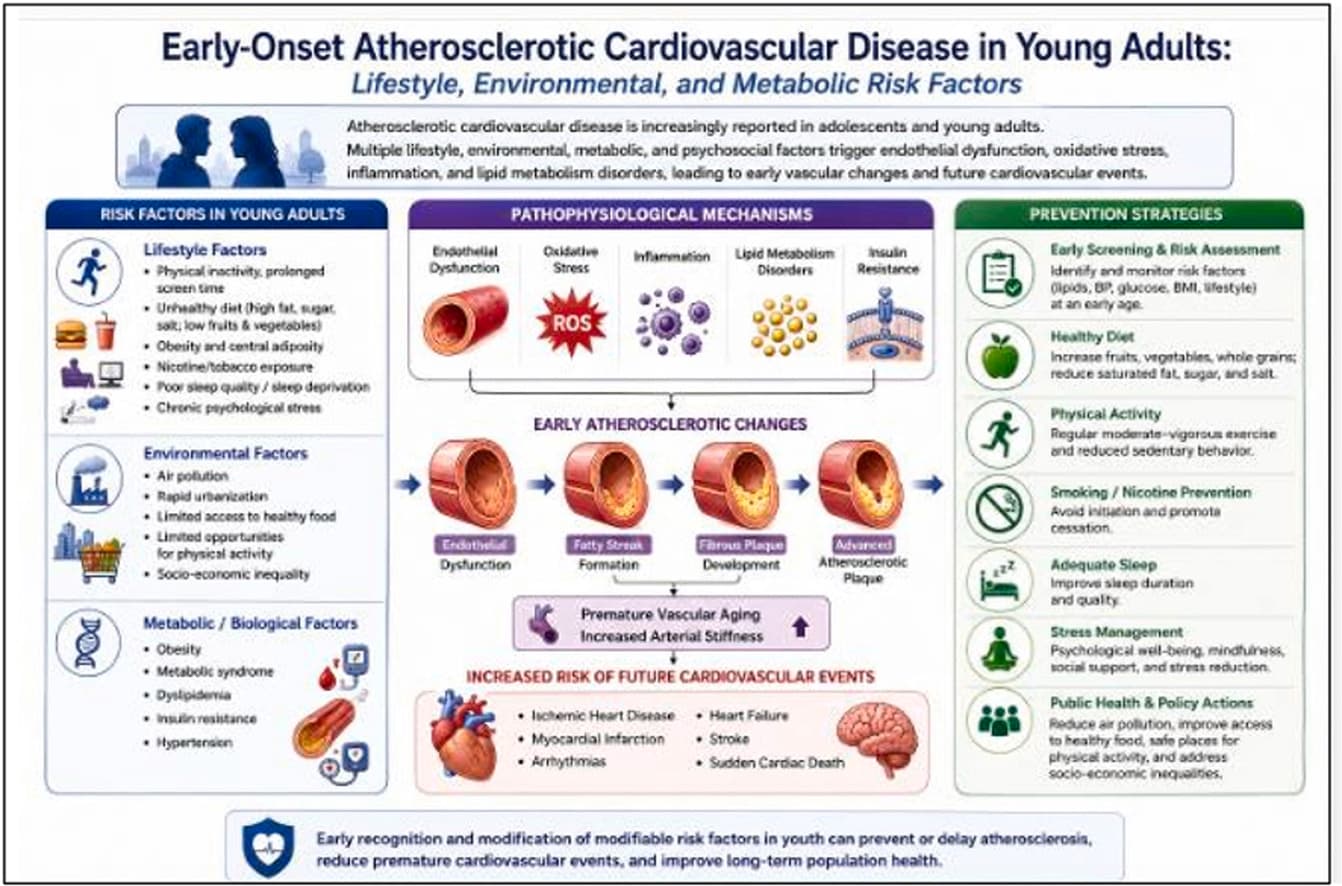 Graphical abstract from International Journal of Cardiology Cardiovascular Risk and Prevention