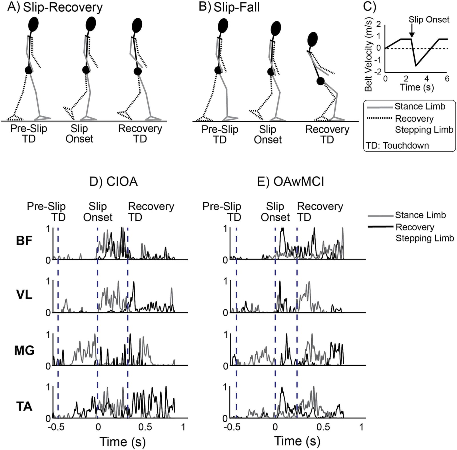 Figure 1 from Journal of Electromyography and Kinesiology