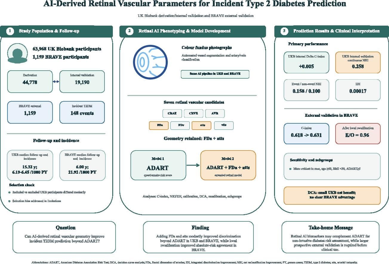 Graphical abstract from Diabetes Research and Clinical Practice