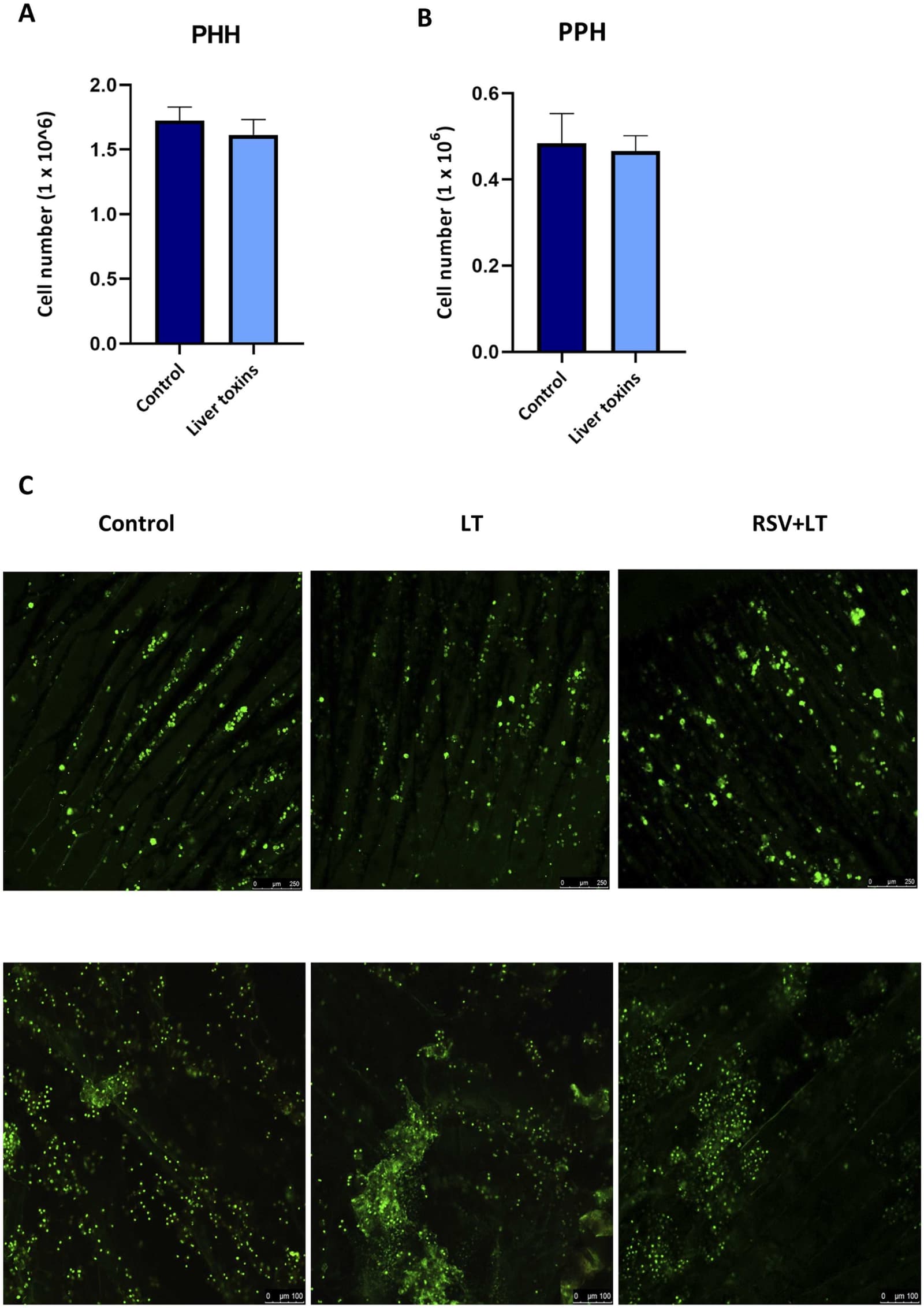 Figure 1 from Mechanisms of Ageing and Development