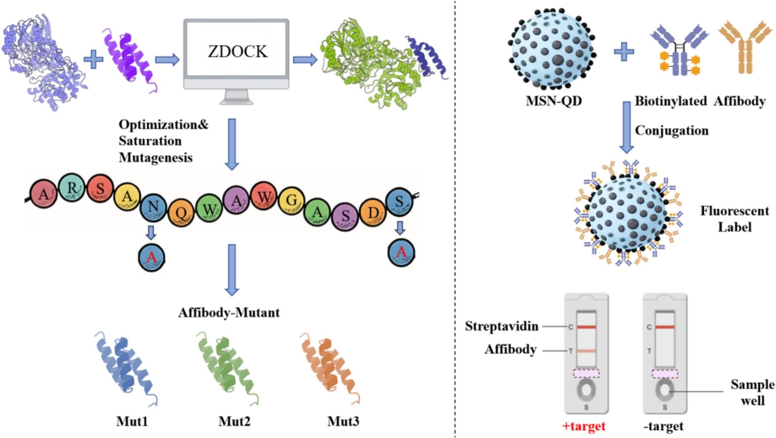 Figure 1 from International Journal of Biological Macromolecules