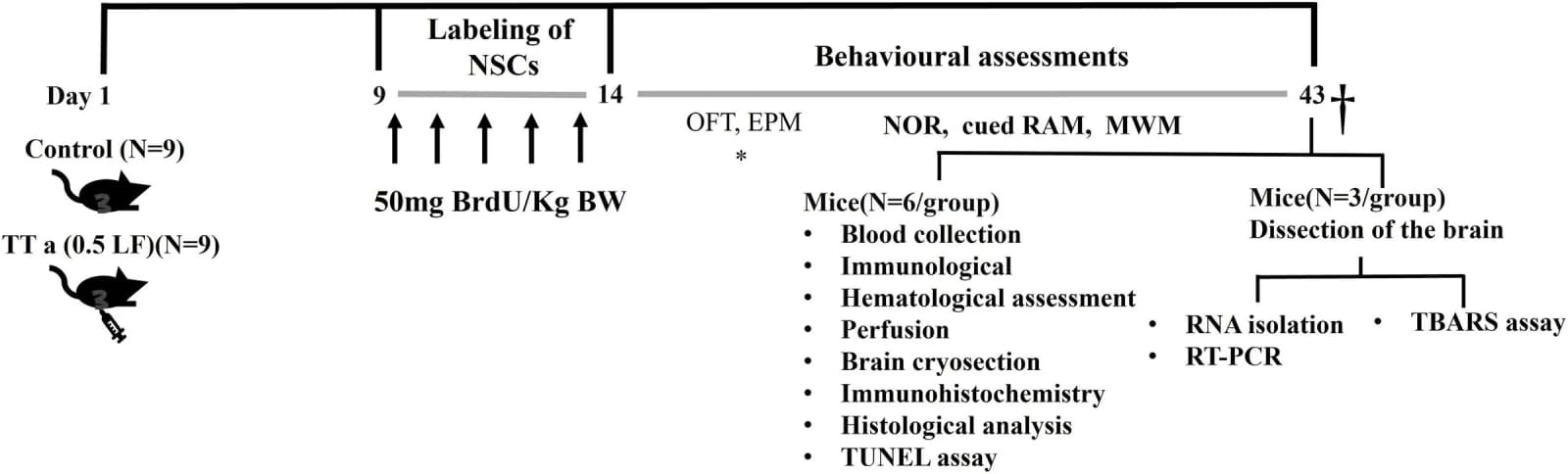 Figure 1 from European Journal of Pharmacology