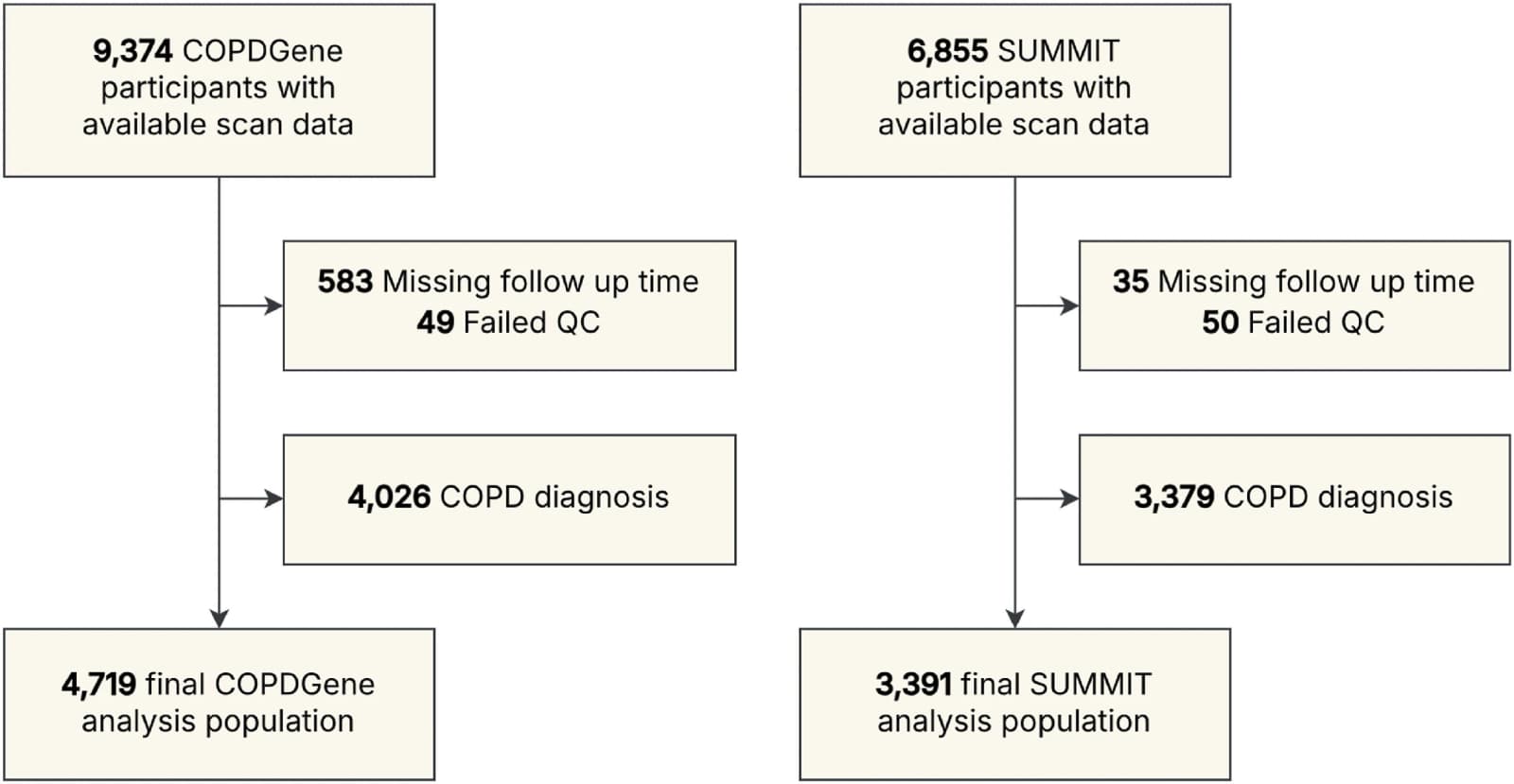 Figure 1 from Respiratory Medicine