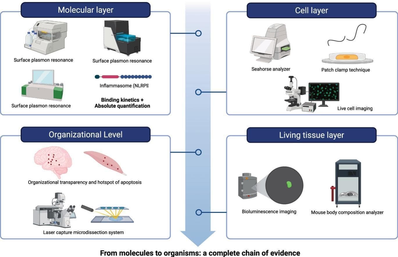 Graphical abstract from Methods