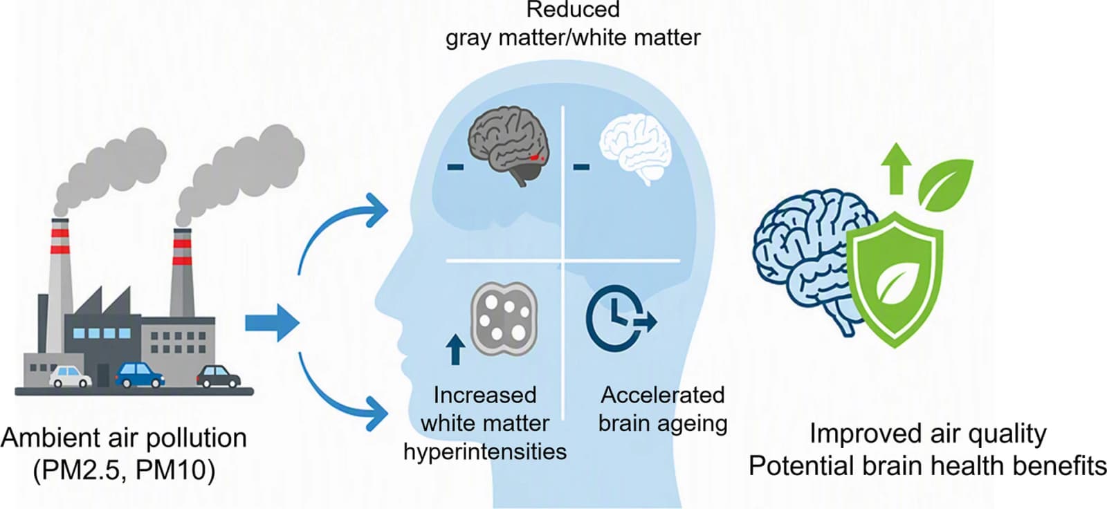 Graphical abstract from Environmental Pollution