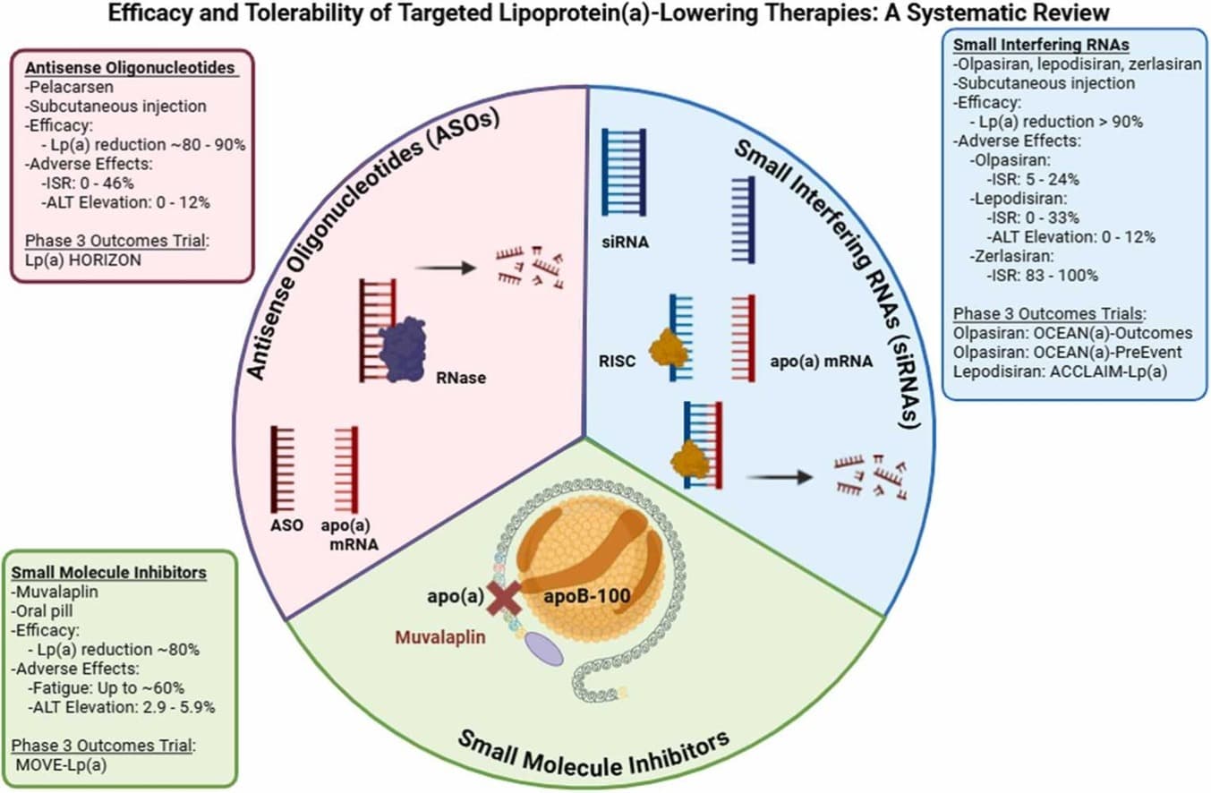 Graphical abstract from Journal of Clinical Lipidology