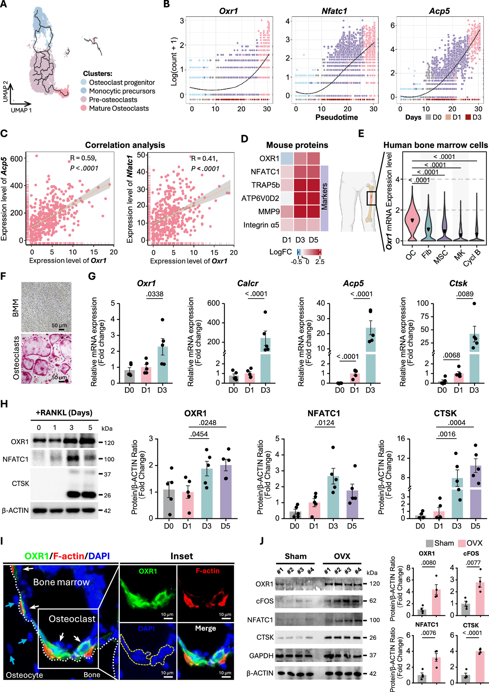 Figure 1 from Nature Communications