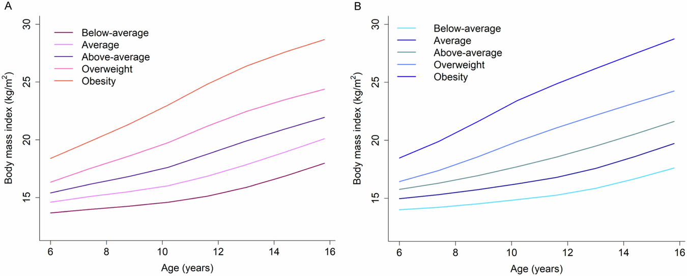 Figure 1 from International Journal of Obesity