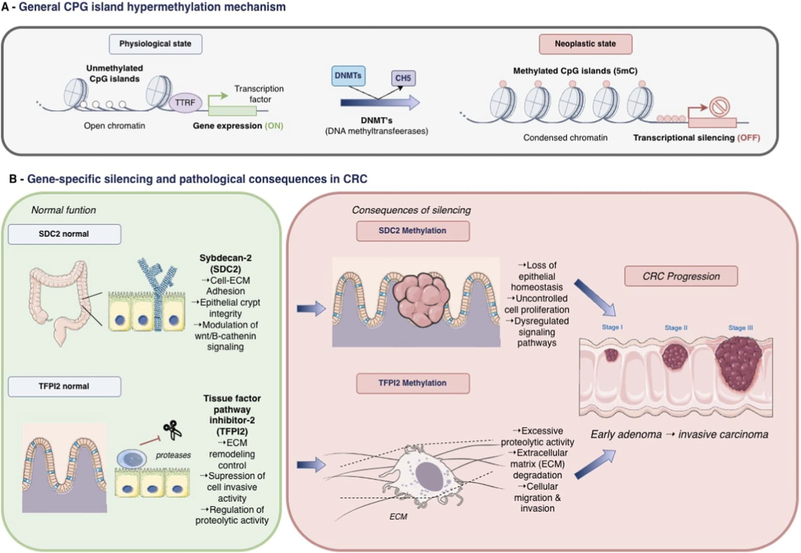 Figure 1 from Frontiers in Molecular Biosciences