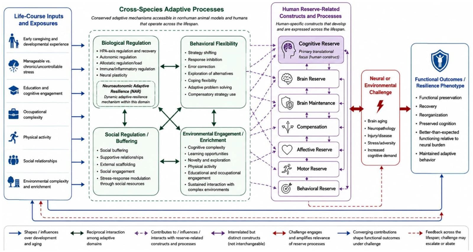Figure 1 from Frontiers in Psychology