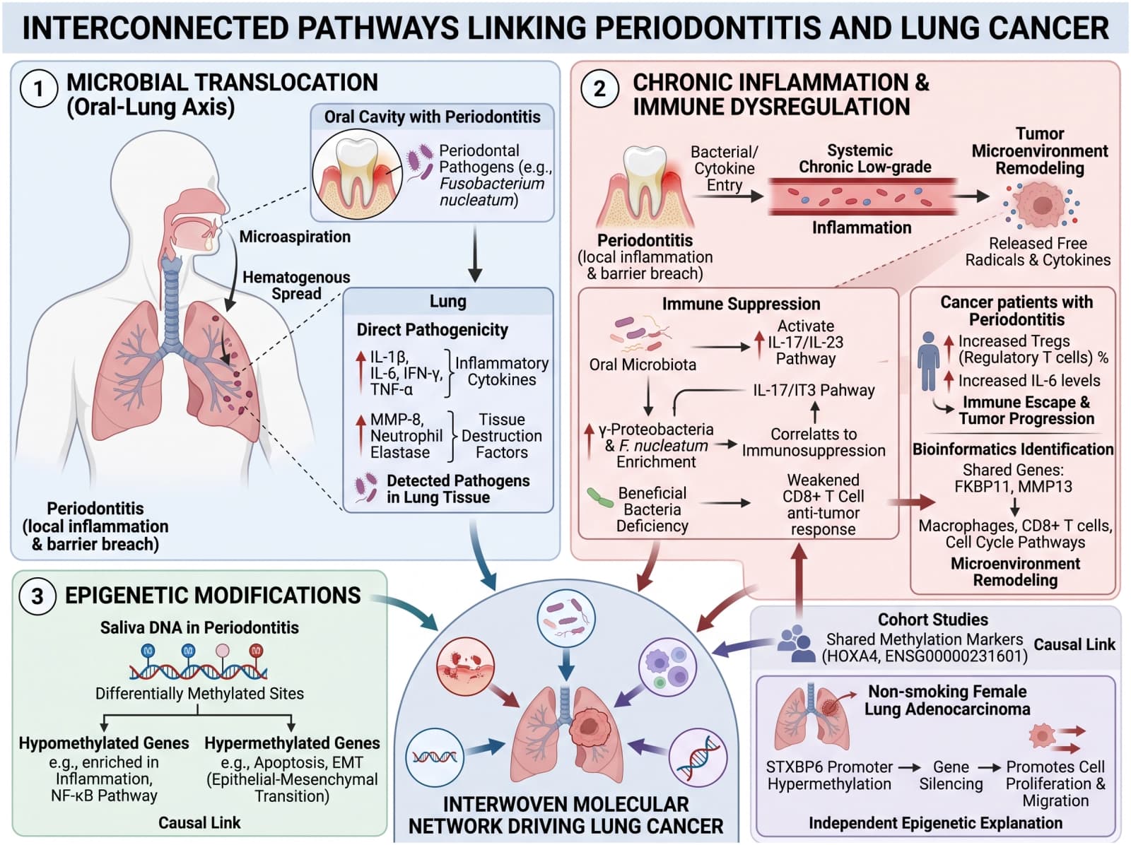 Figure 1 from Frontiers in Cellular and Infection Microbiology