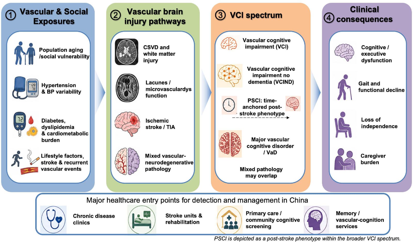 Figure 1 from Cerebral Circulation - Cognition and Behavior
