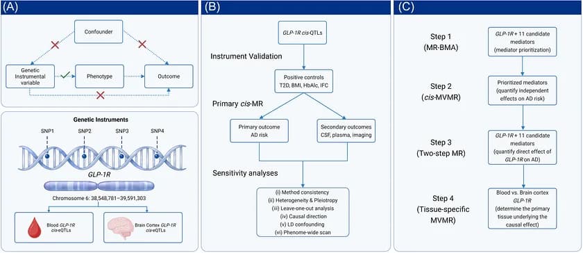 The study design. AD, Alzheimer's disease; BMI, body mass index; cis‐eQTL, cis‐expression quantitative trait locus; cis‐MVMR, cis multivariable Mendelian randomization; CSF, cerebrospinal fluid;…