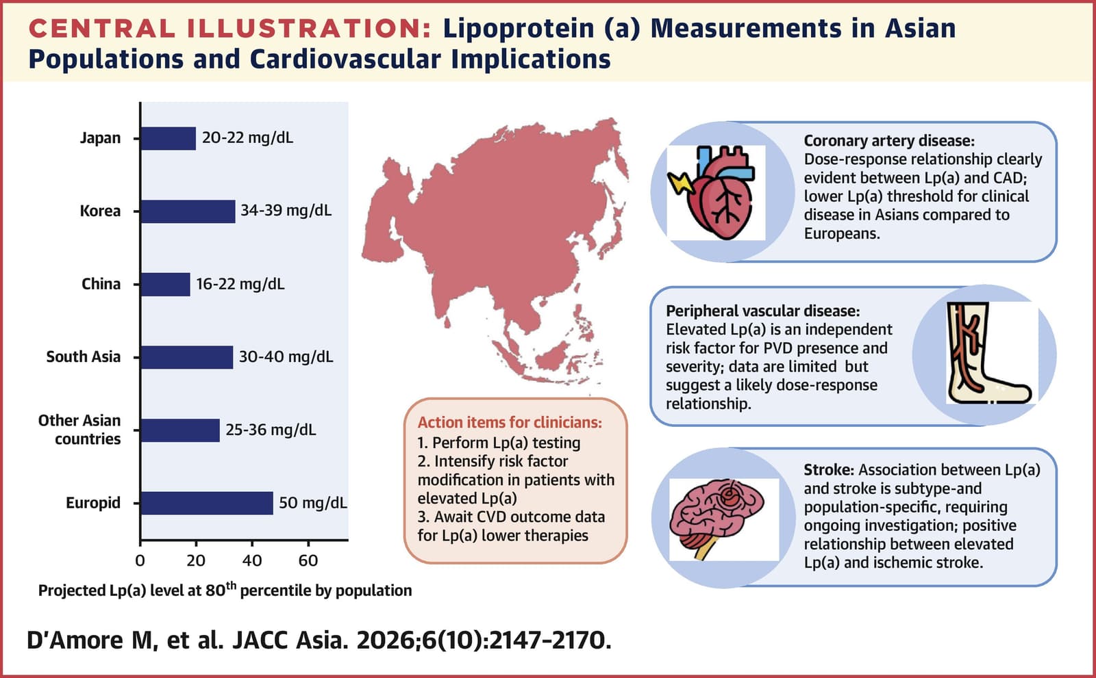 Graphical abstract from JACC Asia