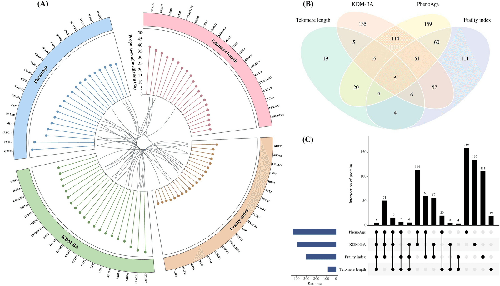 Figure 1 from Hepatology International