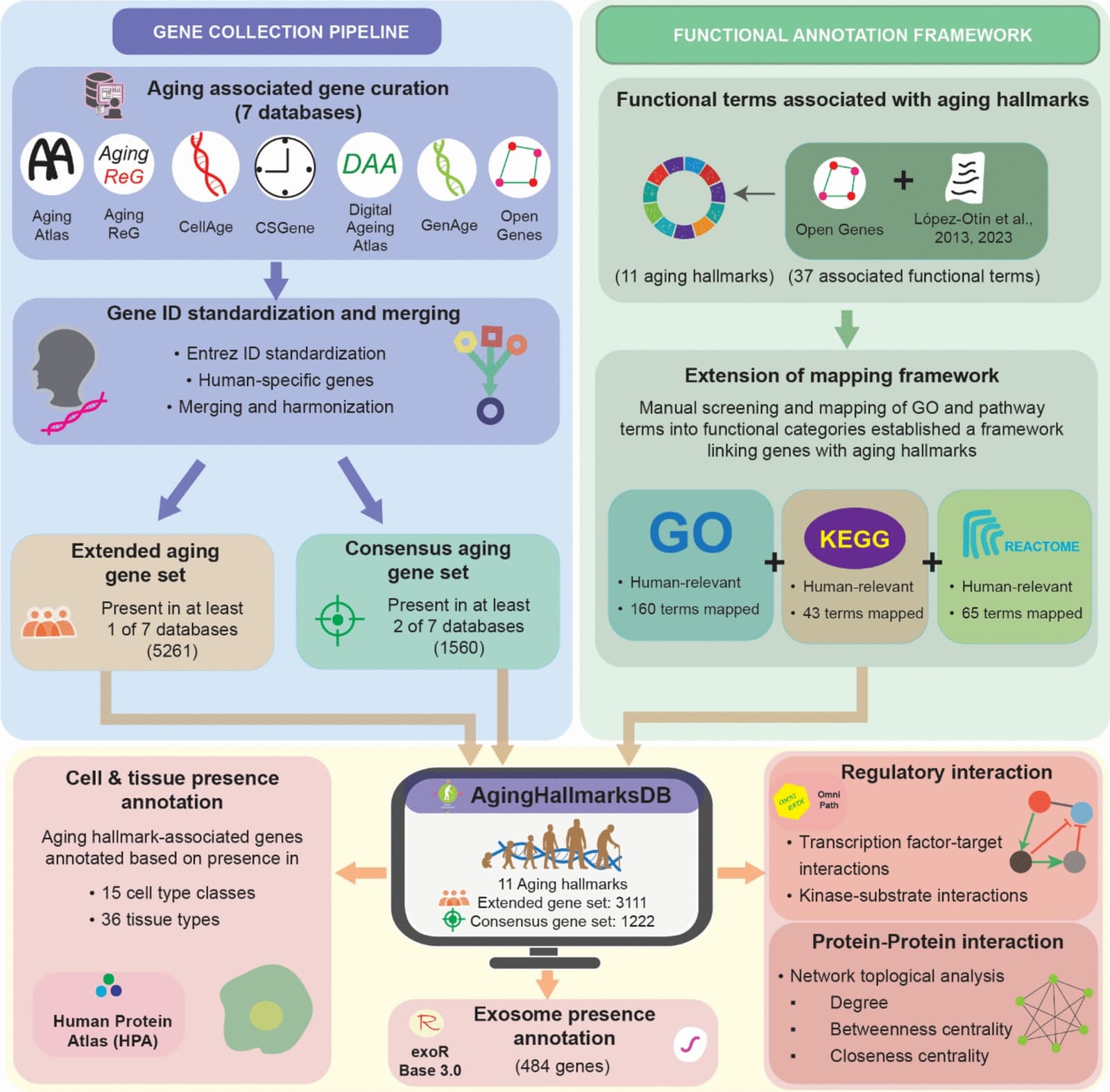 Figure 1 from Biogerontology