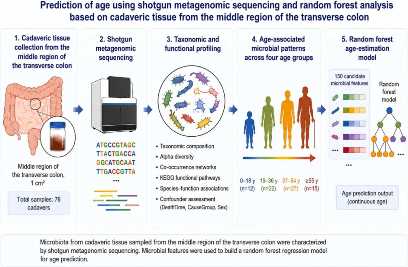 Graphical abstract from Forensic Science International