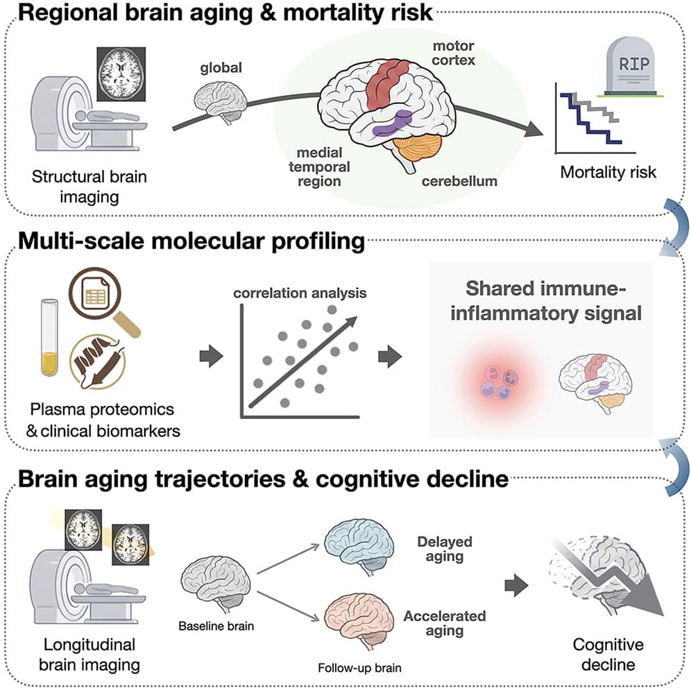 Graphical abstract from Cell Reports Medicine