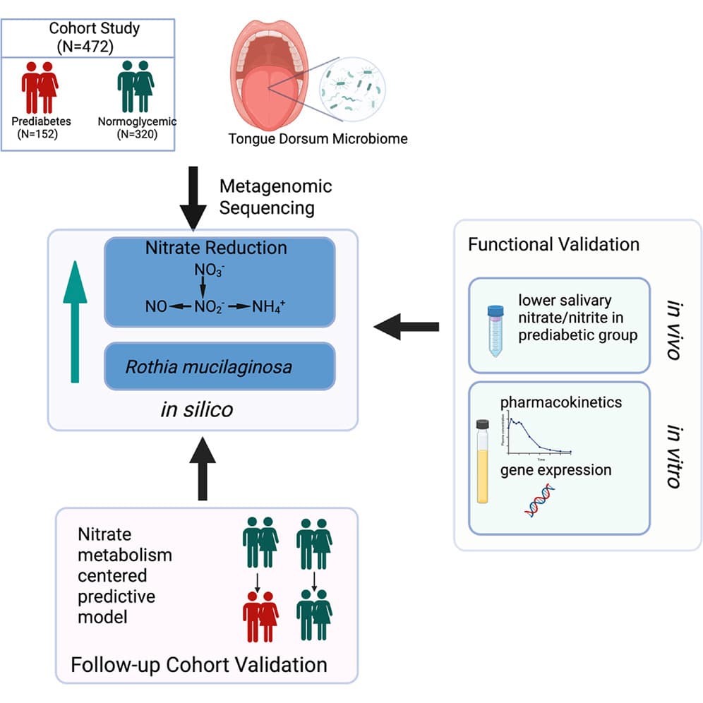 Graphical abstract from Cell Reports Medicine