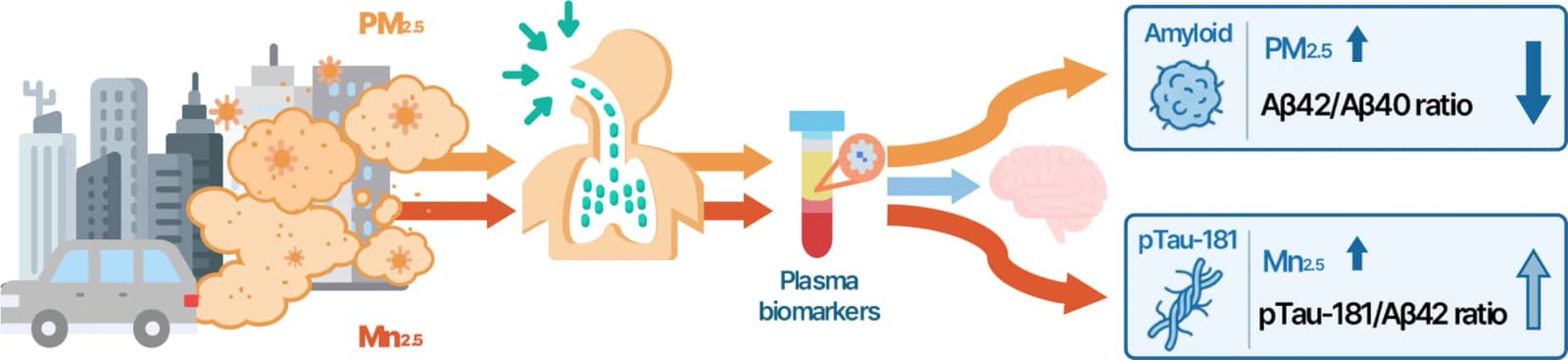 Graphical abstract from Environmental Pollution