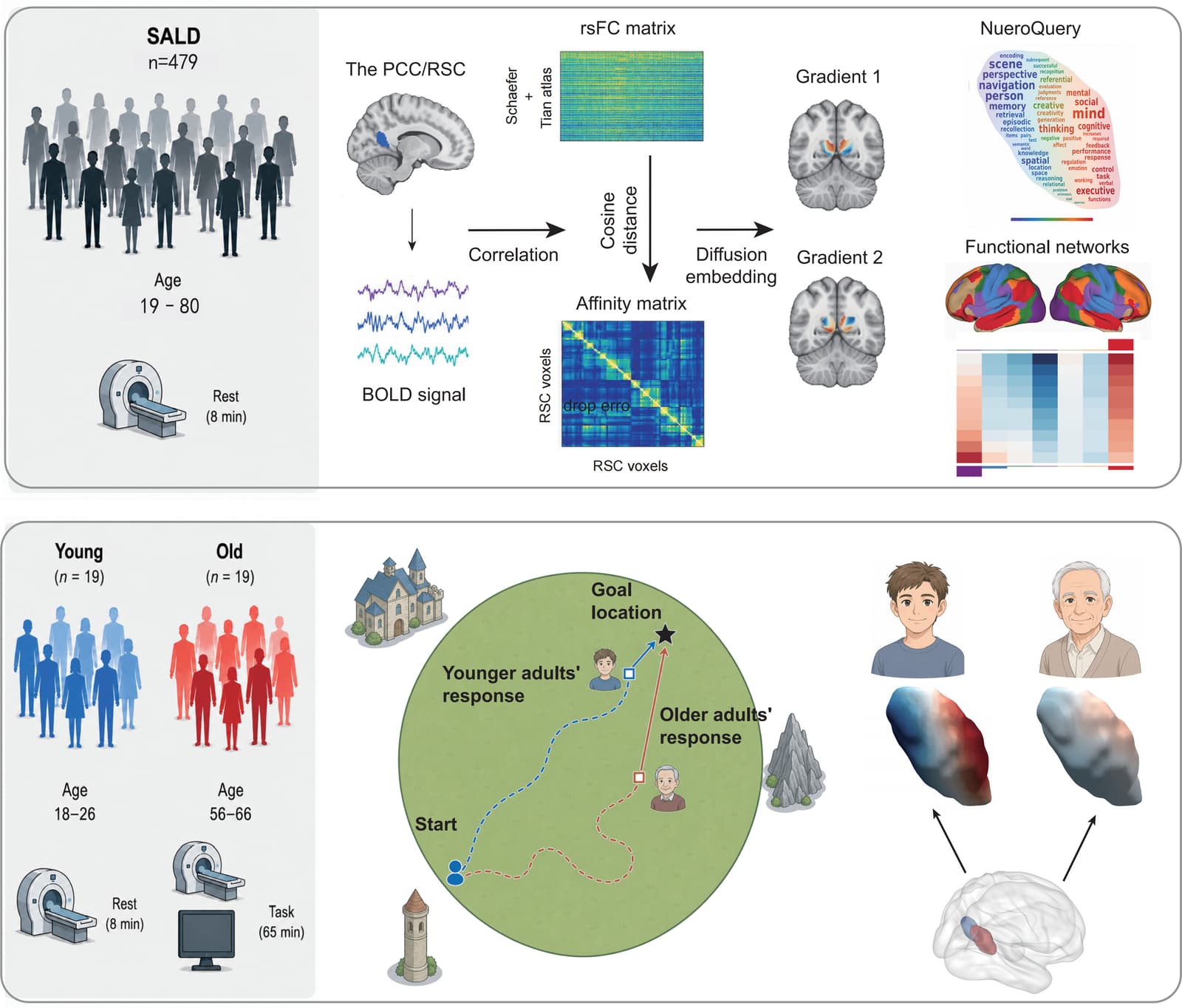 Figure 1 from NeuroImage