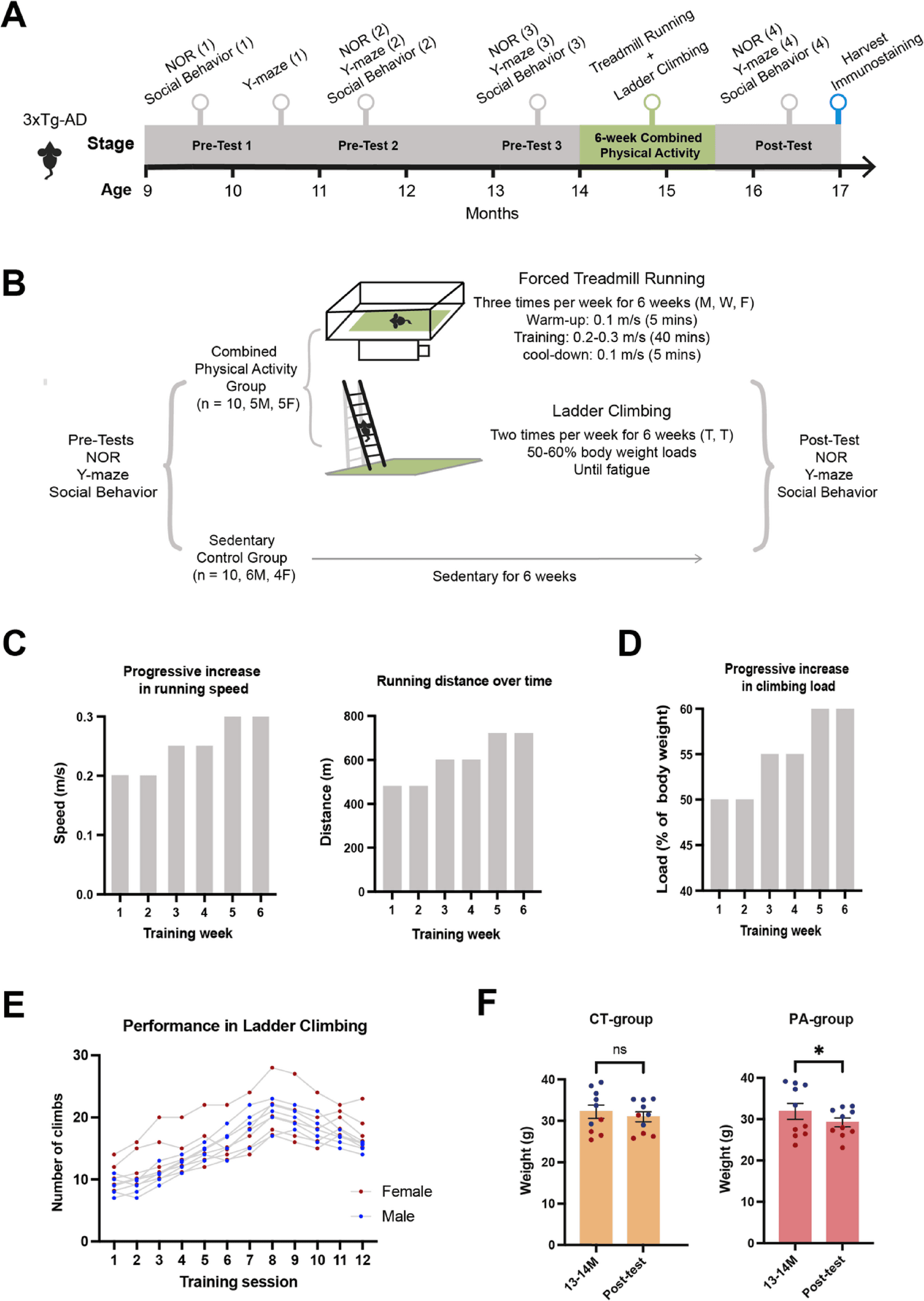 Figure 1 from Molecular Brain