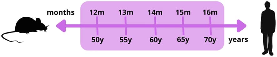 Figure 1 from Frontiers in Aging Neuroscience