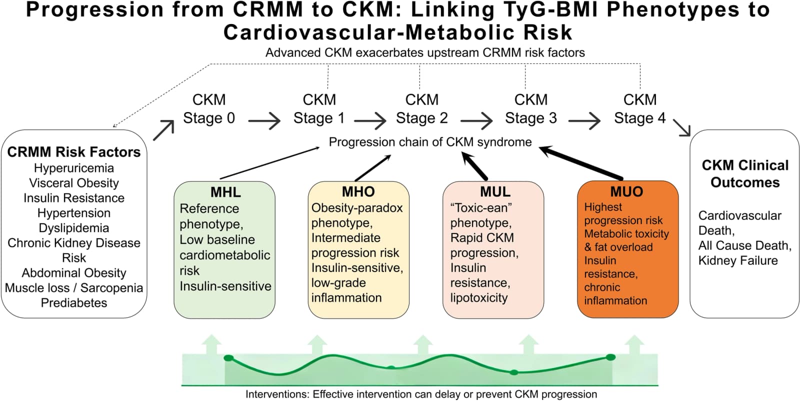 Figure 1 from Frontiers in Endocrinology