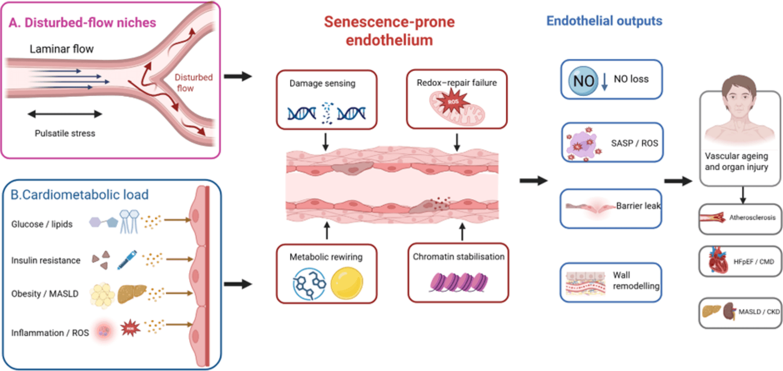 Figure 1 from Molecular Biology Reports
