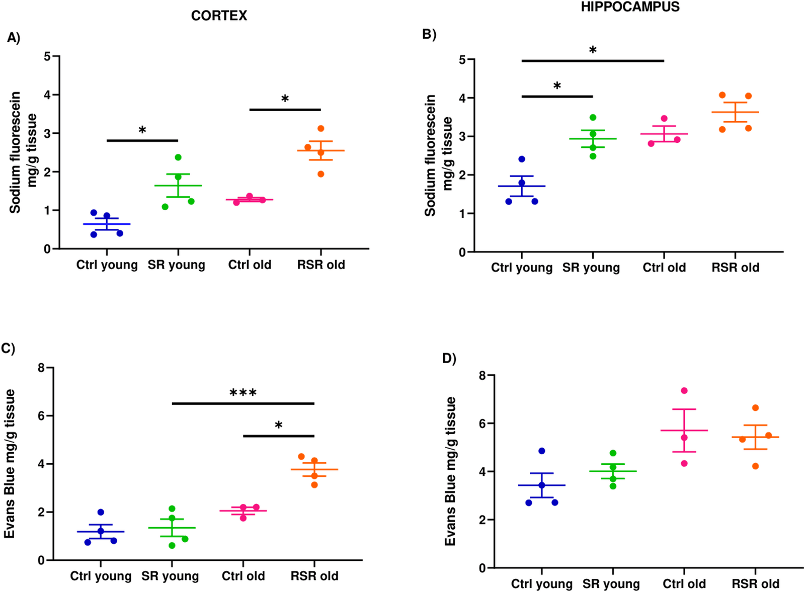 Figure 1 from Neurochemical Research