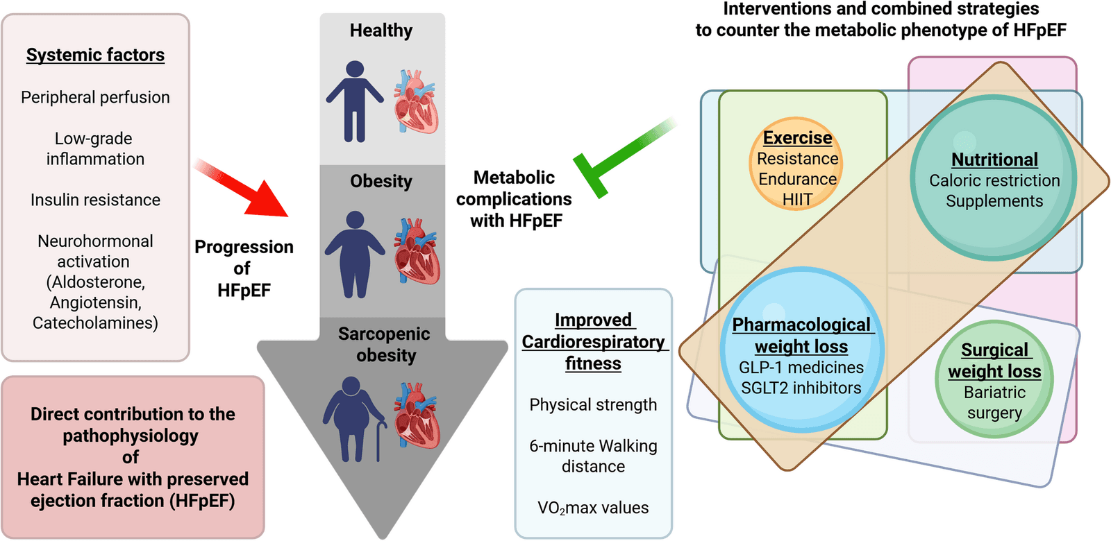Figure 1 from Current Heart Failure Reports