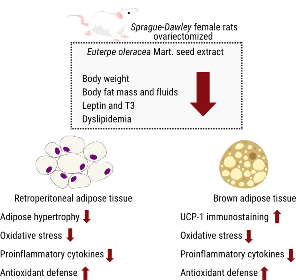 Graphical abstract from Nutrition Research