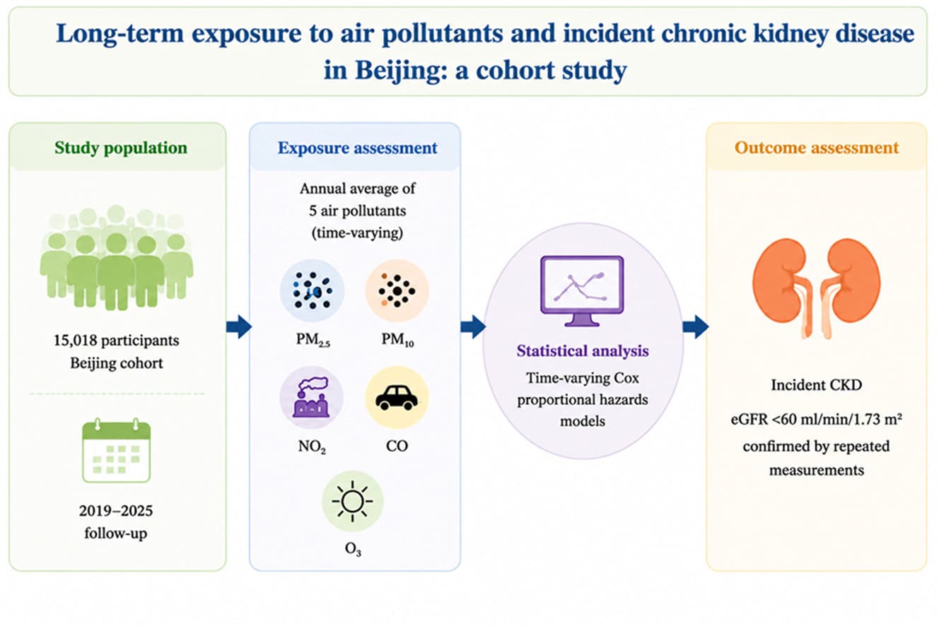 Graphical abstract from Environmental Pollution