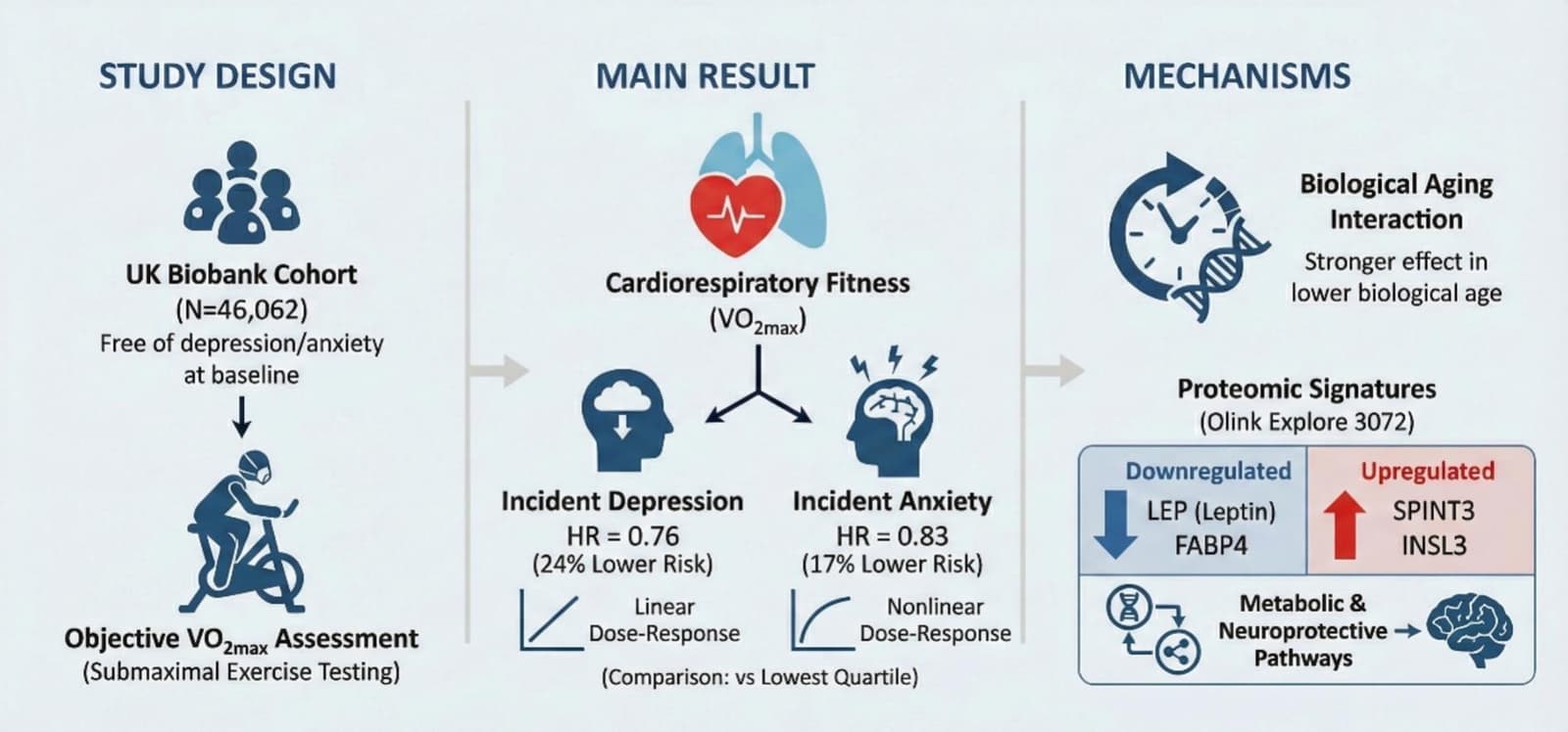 Graphical abstract from Journal of Affective Disorders