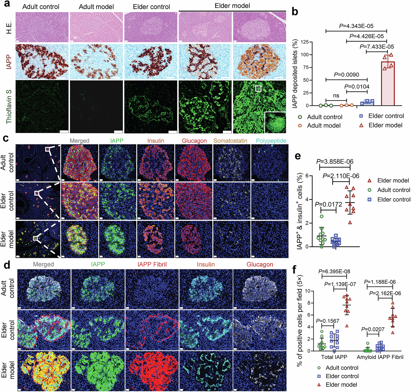 Figure 1 from Signal Transduction and Targeted Therapy