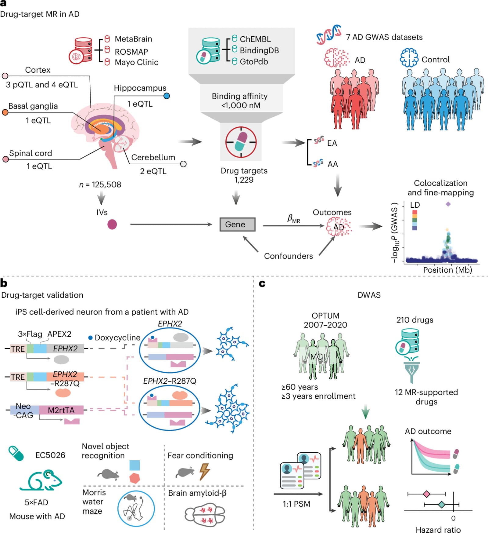 Figure 1 from Nature Neuroscience