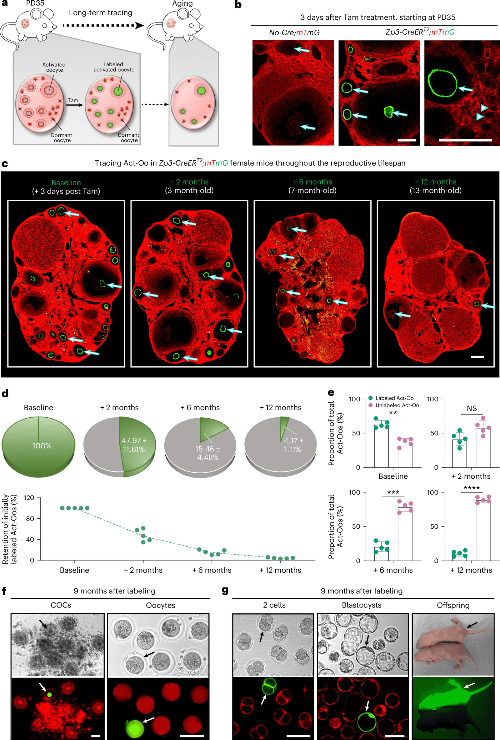 Figure 1 from Nature Aging