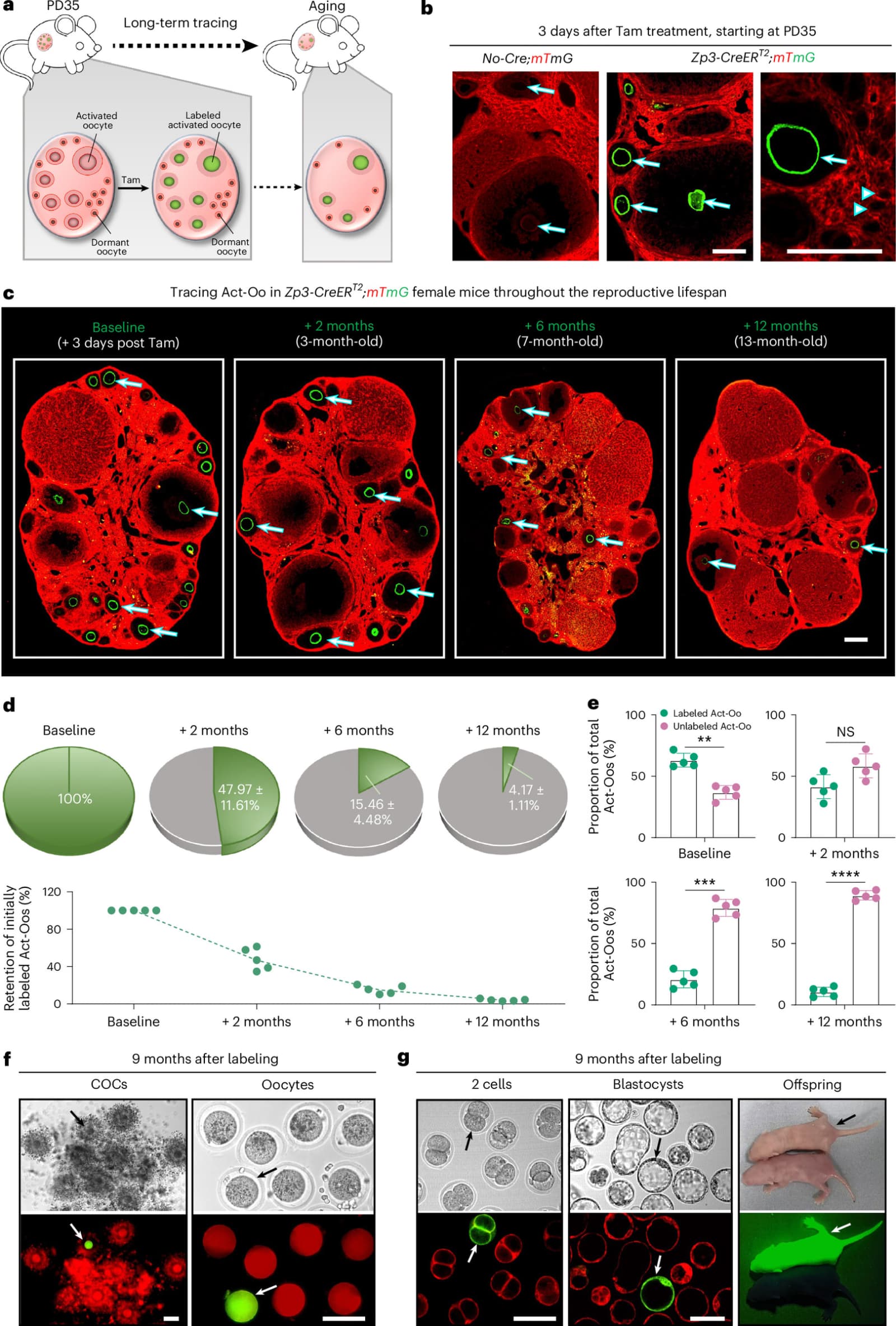 Figure 1 from Nature Aging