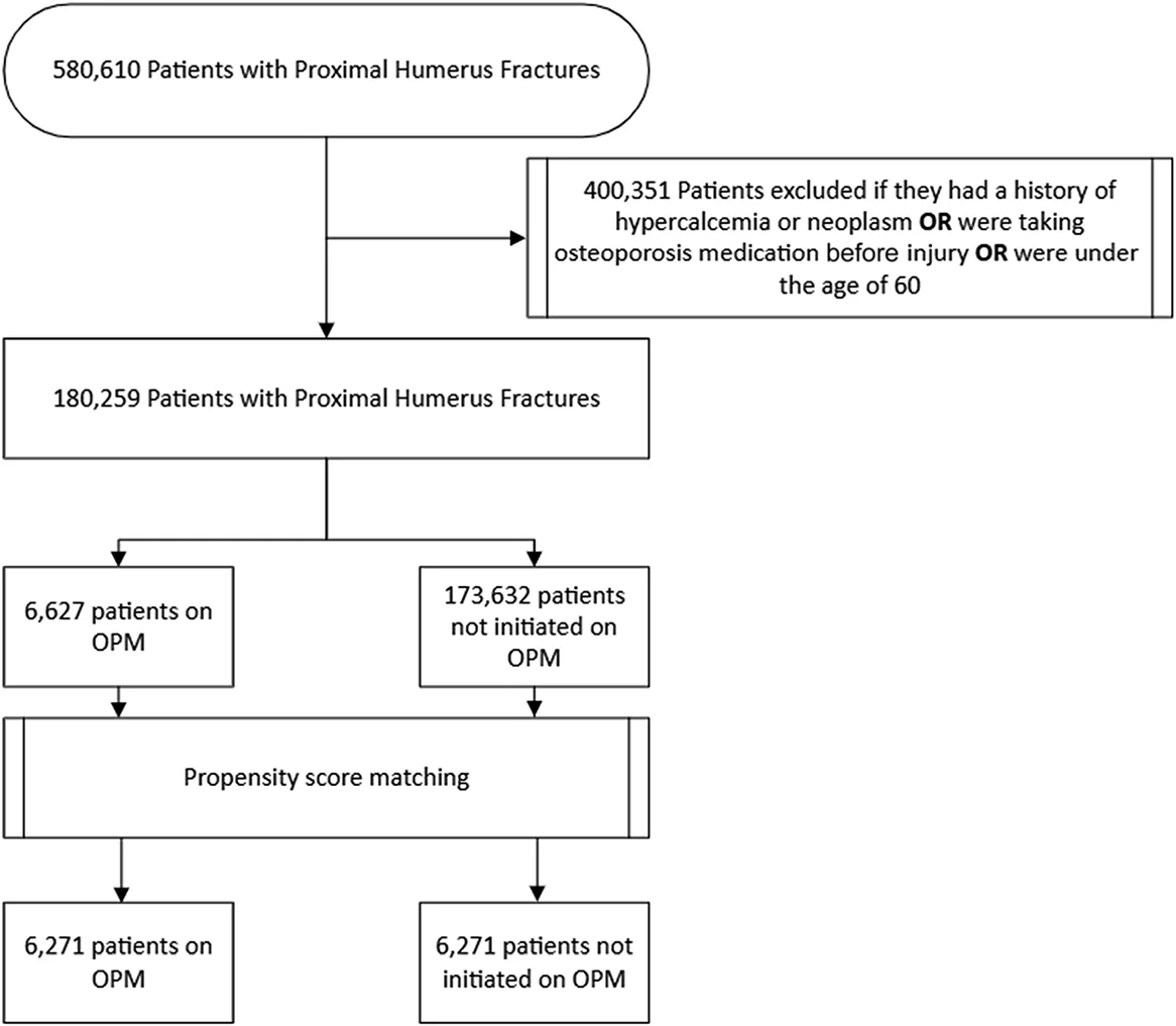 Figure 1. Flowchart demonstrating patient selection criteria.